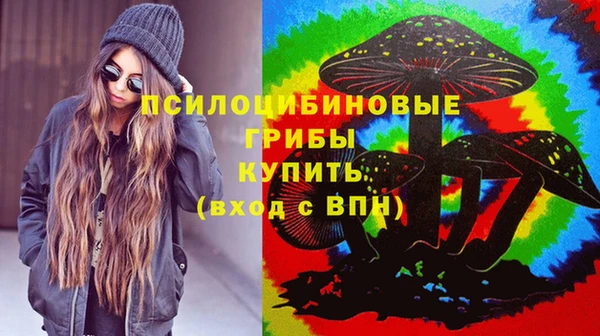 хмурый Покров