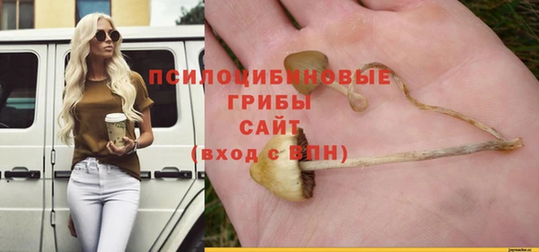 дмт Абаза