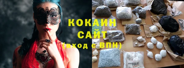 дживик Абинск