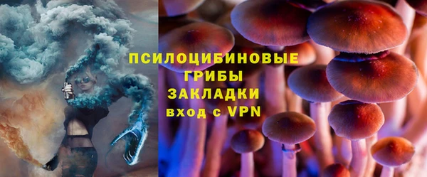 дживик Абинск