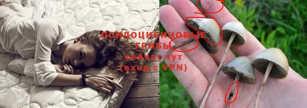 дживик Абинск