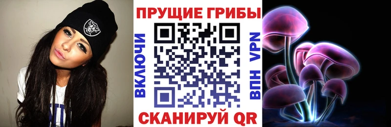 Псилоцибиновые грибы Magic Shrooms  Котельнич 